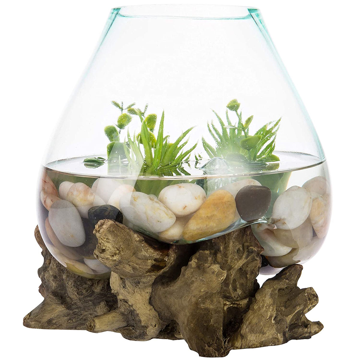 Teak Wood Root and Blown Glass Terrarium Sculpture