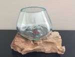 Molten Glass on Driftwood Mini - 3" Vase Terrarium