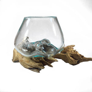 Molten Glass on Driftwood Small - 5" Vase Terrarium