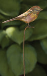 Bird Stake