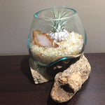 Molten Glass Air Plant Terrarium – Citrine Crystal and Agate Slice Healing Chakra Gemstones 7in x 5in- Light Joy Happiness