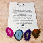 Molten Glass Air Plant Terrarium – Milk Quartz Crystal and Agate Slice Healing Chakra Gemstones 7in x 5in- The Gentle Calmer - 4 Colors