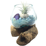 Molten Glass Air Plant Terrarium – Aquamarine Crystal and Agate Slice Healing Chakra Gemstones 7in x 5in- Soothing Stone - March Birthstone