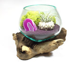 Molten Glass Air Plant Terrarium – Reindeer Moss Agate Slice Gemstones Urchin Shell 7in x 5in Medium- Purple Sand