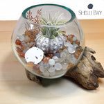 Molten Glass Air Plant Terrarium – Agate Stone Healing Chakra Gemstones 6in x 6in- The Gentle Calmer - 6 Colors