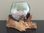 Small Air Plant Terrarium Molten Glass Driftwood Vase - Rose Quartz Crystal Stones