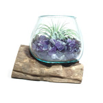 Small Air Plant Terrarium Molten Glass Driftwood Vase – Amethyst Stones