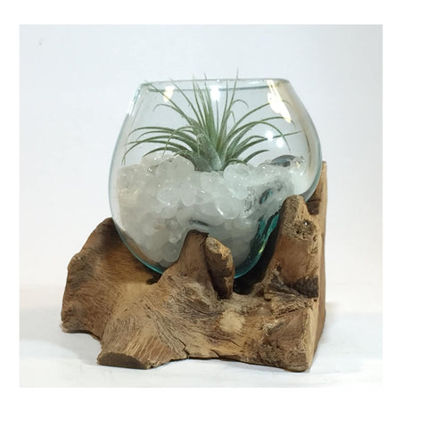 Small Air Plant Terrarium Molten Glass Driftwood Vase – Clear Quartz Crystal