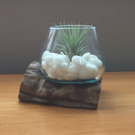 Small Air Plant Terrarium Molten Glass Driftwood Vase – Milk Quartz Crystal