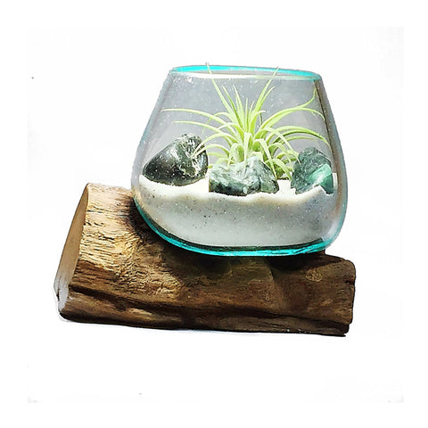 Small Air Plant Terrarium Molten Glass Driftwood Vase – Emerald Stones