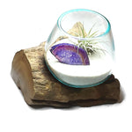 Small Air Plant Terrarium Molten Glass Driftwood Vase – Agate Slice