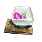 Small Air Plant Terrarium Molten Glass Driftwood Vase – Agate Slice