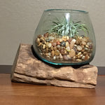 Small Air Plant Terrarium Molten Glass Driftwood Vase – Aztec Bronze Stones