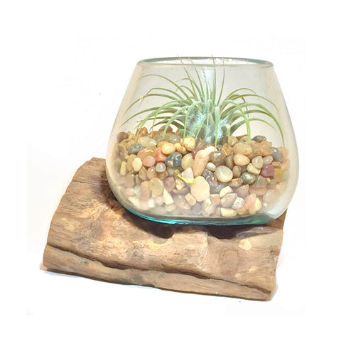 Small Air Plant Terrarium Molten Glass Driftwood Vase – Aztec Bronze Stones