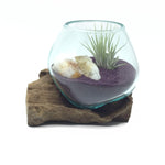 Small Air Plant Terrarium in a Molten Glass on Driftwood Vase- Purple Sand with Citrine Crystals