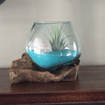 Small Air Plant Terrarium Molten Glass Driftwood Vase - Turquoise Sand with Rose Quartz Crystal