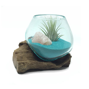 Small Air Plant Terrarium Molten Glass Driftwood Vase - Turquoise Sand with Rose Quartz Crystal