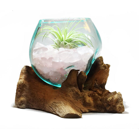 Small Air Plant Terrarium Molten Glass Driftwood Vase - Rose Quartz Crystal Stones