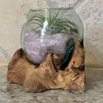 Small Air Plant Terrarium Molten Glass Driftwood Vase - Rose Quartz Crystal Stones