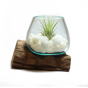 Small Air Plant Terrarium Molten Glass Driftwood Vase – Milk Quartz Crystal