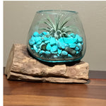 Small Air Plant Terrarium Molten Glass Driftwood Vase – Turquoise Stone