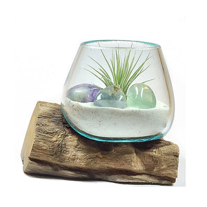 Small Air Plant Terrarium Molten Glass Driftwood Vase – Fluorite Quartz