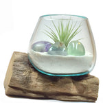 Small Air Plant Terrarium Molten Glass Driftwood Vase – Fluorite Quartz