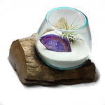 Small Air Plant Terrarium Molten Glass Driftwood Vase – Agate Slice