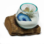 Small Air Plant Terrarium Molten Glass Driftwood Vase – Agate Slice