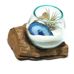 Small Air Plant Terrarium Molten Glass Driftwood Vase – Agate Slice