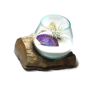 Small Air Plant Terrarium Molten Glass Driftwood Vase – Agate Slice