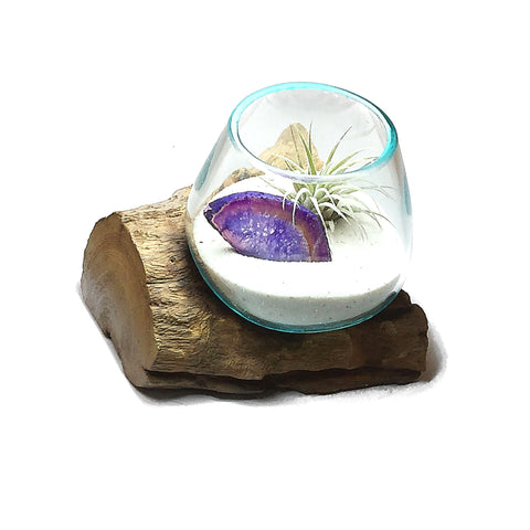 Small Air Plant Terrarium Molten Glass Driftwood Vase – Agate Slice