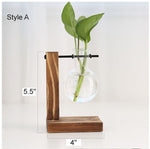 Glass Vase Plant Propagation Station Iron Rod Wooden Stand