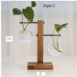 Glass Vase Plant Propagation Station Iron Rod Wooden Stand