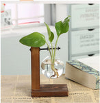 Glass Vase Plant Propagation Station Iron Rod Wooden Stand