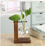 Single Glass Vase Plant Propagation Station with Wooden Stand