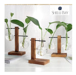 Glass Vase Plant Propagation Station Iron Rod Wooden Stand