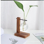 Single Glass Vase Plant Propagation Station with Wooden Stand