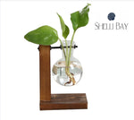 Single Glass Vase Plant Propagation Station with Wooden Stand