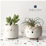 Succulent Planter Pots Set of 4 Animal Planter