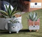 Succulent Planter Pots Set of 4 Animal Planter