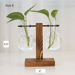 Glass Vase Plant Propagation Station Iron Rod Wooden Stand