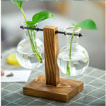 Glass Vase Plant Propagation Station Iron Rod Wooden Stand