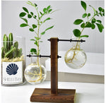 Glass Vase Plant Propagation Station Iron Rod Wooden Stand