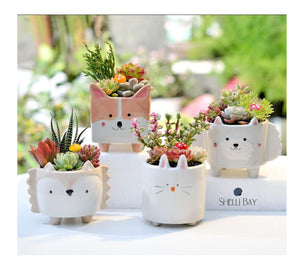 Succulent Planter Pots Set of 4 Animal Planter