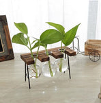 Glass Vase Plant Propagation Station Wood and Metal Stand