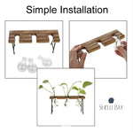 Glass Vase Plant Propagation Station Wood and Metal Stand