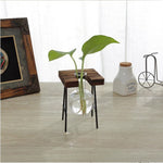 Glass Vase Plant Propagation Station Wood and Metal Stand