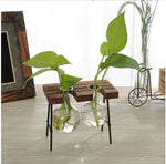 Glass Vase Plant Propagation Station Wood and Metal Stand