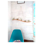 Large Wave Air Plant Hanger